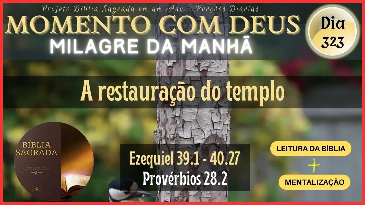 MOMENTO COM DEUS - LEITURA DIÁRIA DA BÍBLIA SAGRADA | MILAGRE DA MANHÃ - Dia 323/365 #biblia