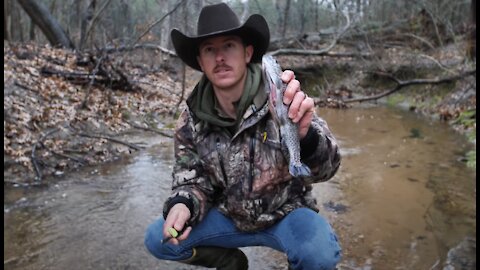 RIVER TROUT FISHING (Primitive Catch & Cook)