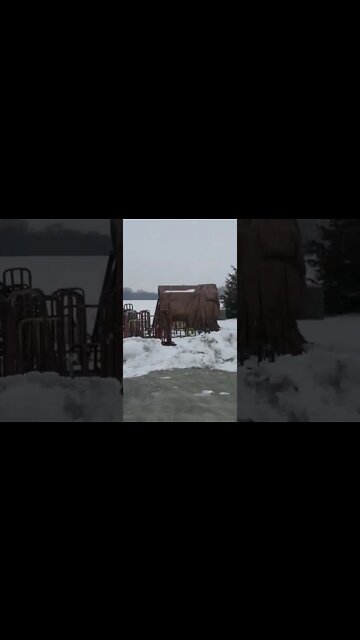 #shorts #short 🐦 Robins Are A Sign of Early Spring 😊