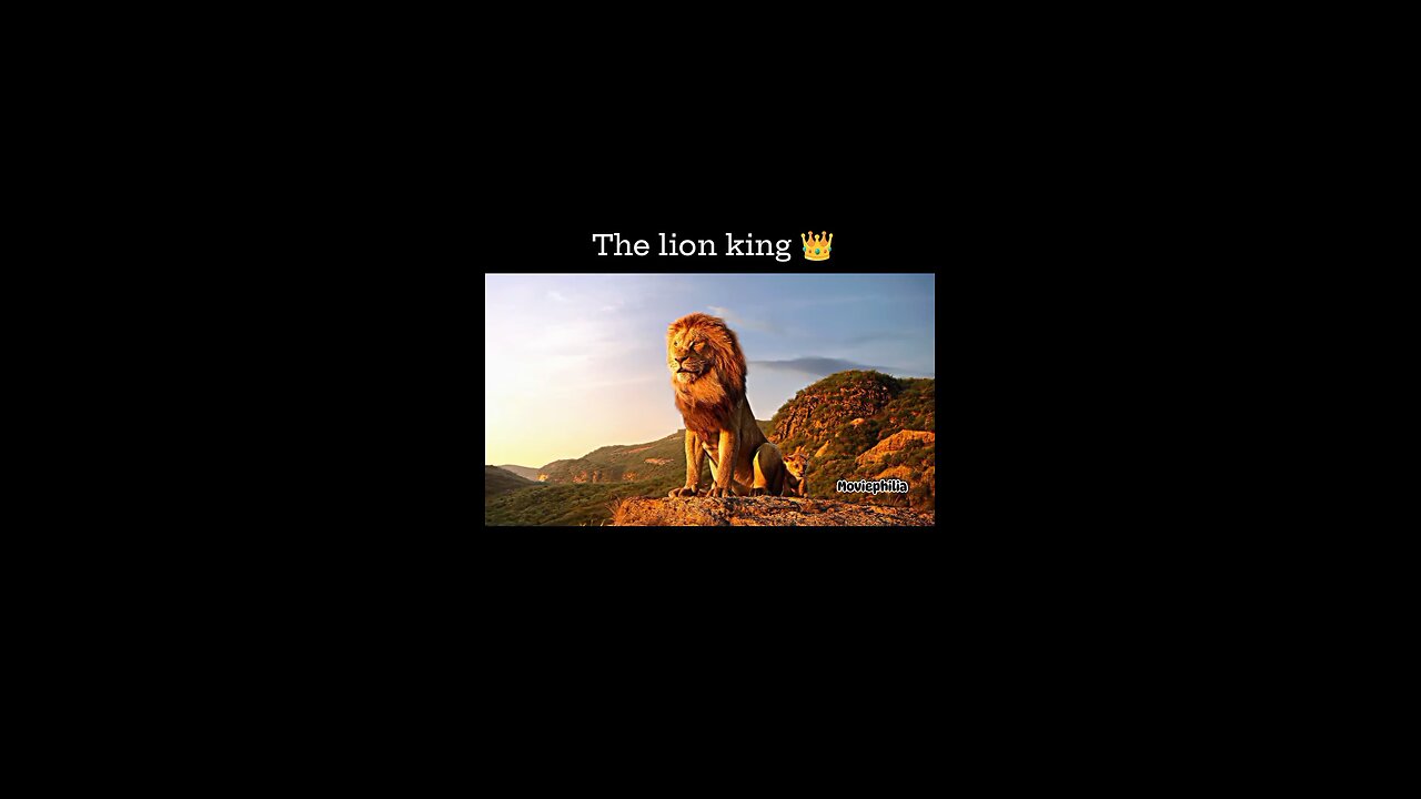 the lion King 🦁|moviephilia