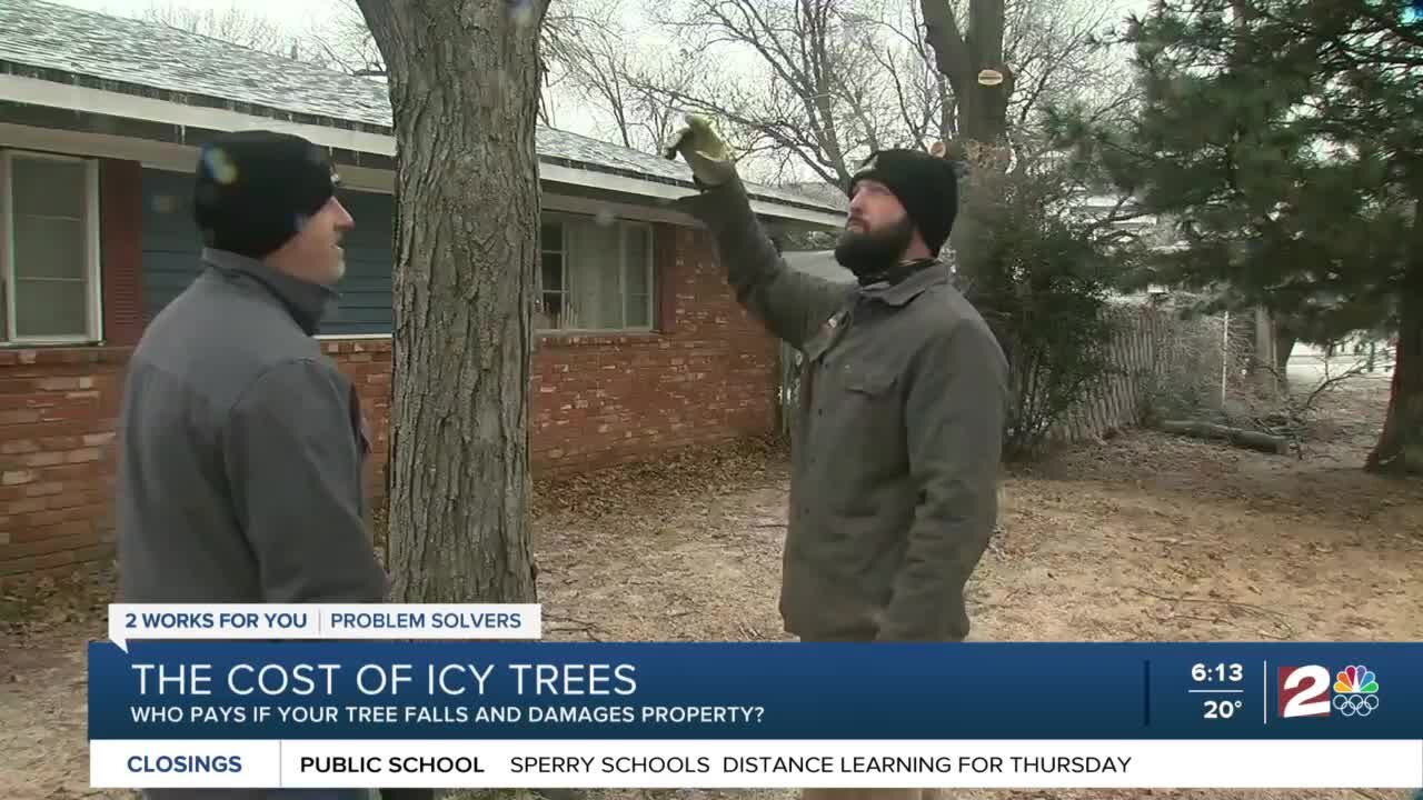 The Cost of Icy Trees: Who pays if your tree falls and damages property?