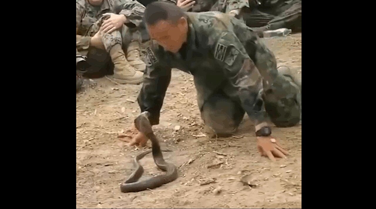 This Soldier Tamed A Snake