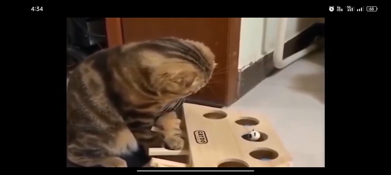 Try not to laugh!🤣