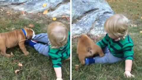 Puppy and Baby are playing on the lawn in a fun way