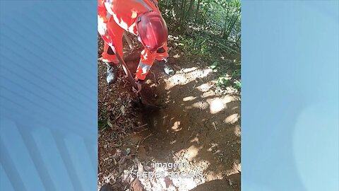 Em Cova Rasa: Corpo é encontrado enterrado na Área Rural de Coronel Fabriciano.