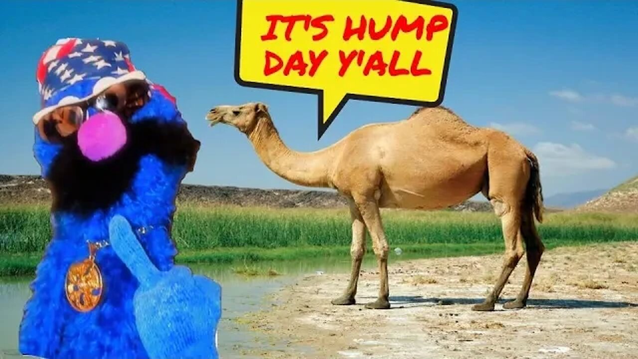 Jolly's Hump Day! | Thanksgiving Pre Funk