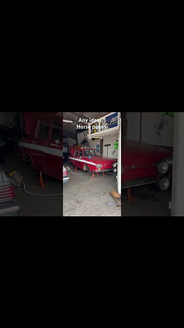 How do you trim your horse pubes? #renault #restoration