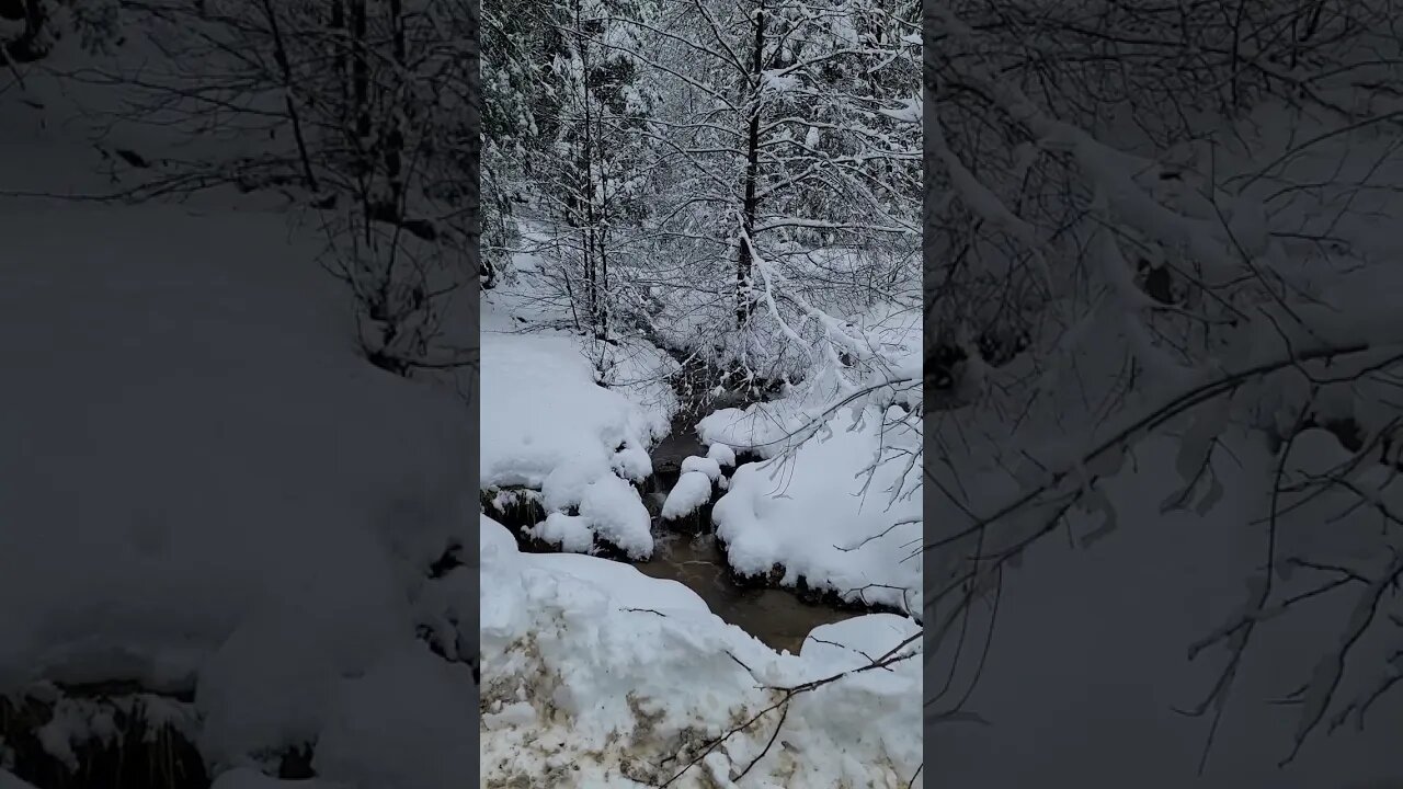 Small Creek on Potato AZ