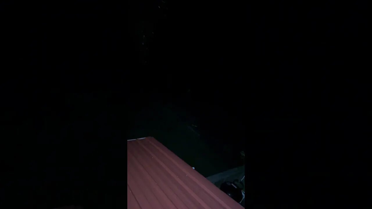 She was actually kicked off of the roof a terrifying tail. #YouTubeShorts #Scary #TrendingVideo.￼