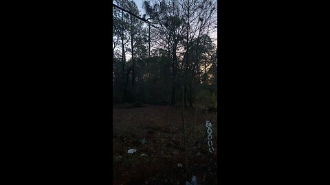 Peaceful morning