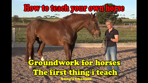 Groundwork for Horses - The First Thing I Teach