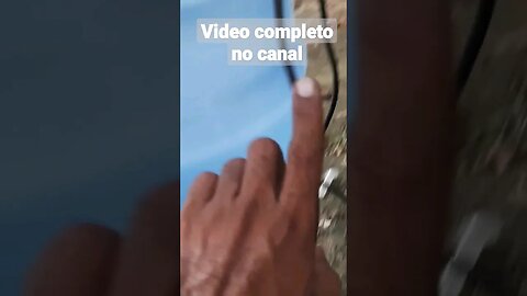 Alexa irrigando plantação #shorts #tech #gambiarra #technology