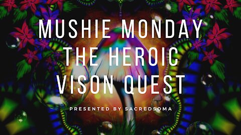 Mushie Monday | The heroic vision quest