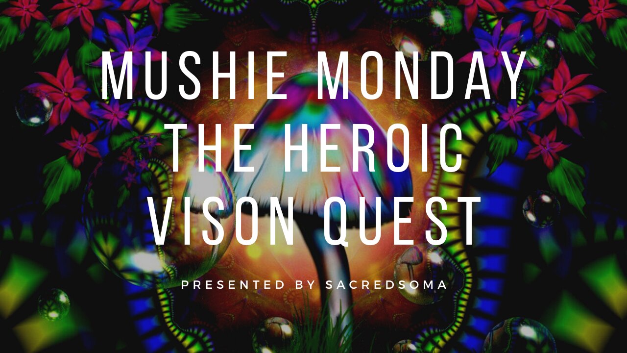 Mushie Monday | The heroic vision quest