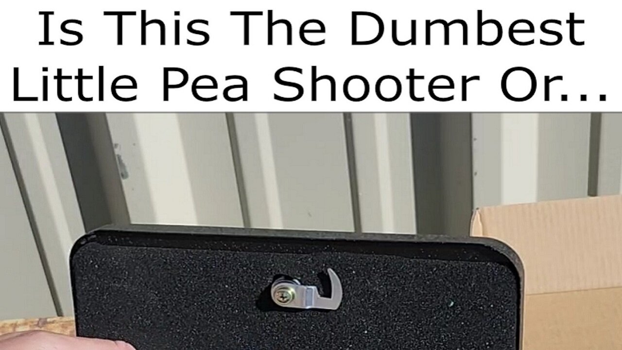 Is This The Dumbest Little Pea Shooter or #short #black powder #NAA #22 #cap #ball