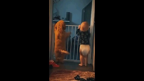 adorable baby and dog