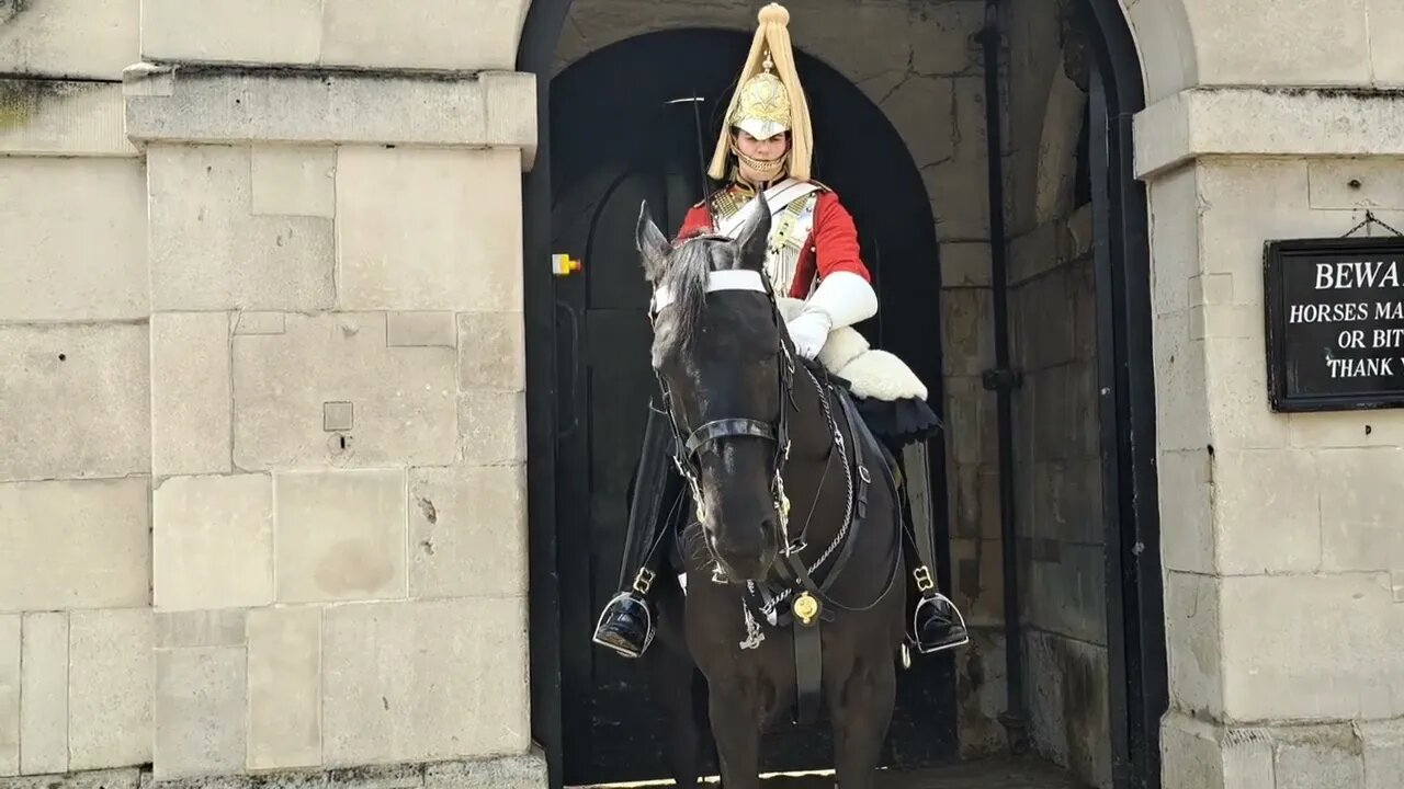 Arnie thetouristhater tells you no #horseguardsparade