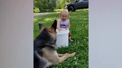 11 %%%%% Cute Babies Playing With Dogs Compilation Funny Baby And Pets