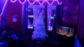 Christmas time