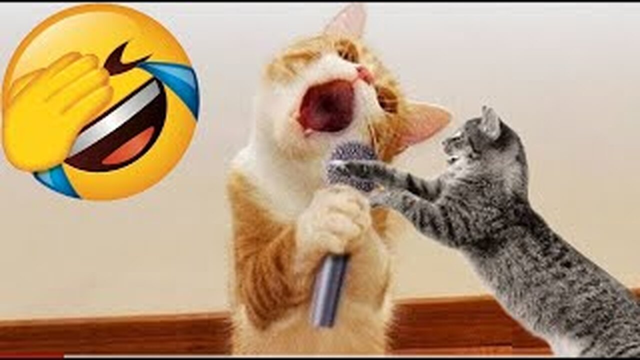 Try not to laugh 😅 | Funniest animals compilation 2023