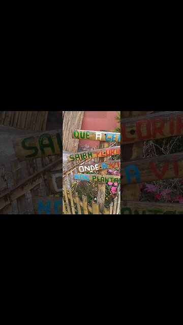 placas de bambu #shorts