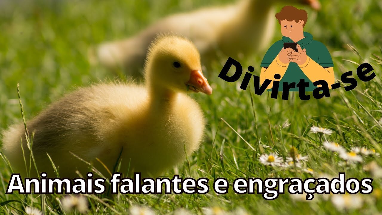 Divirta-se com esses animais falantes e engraçados.