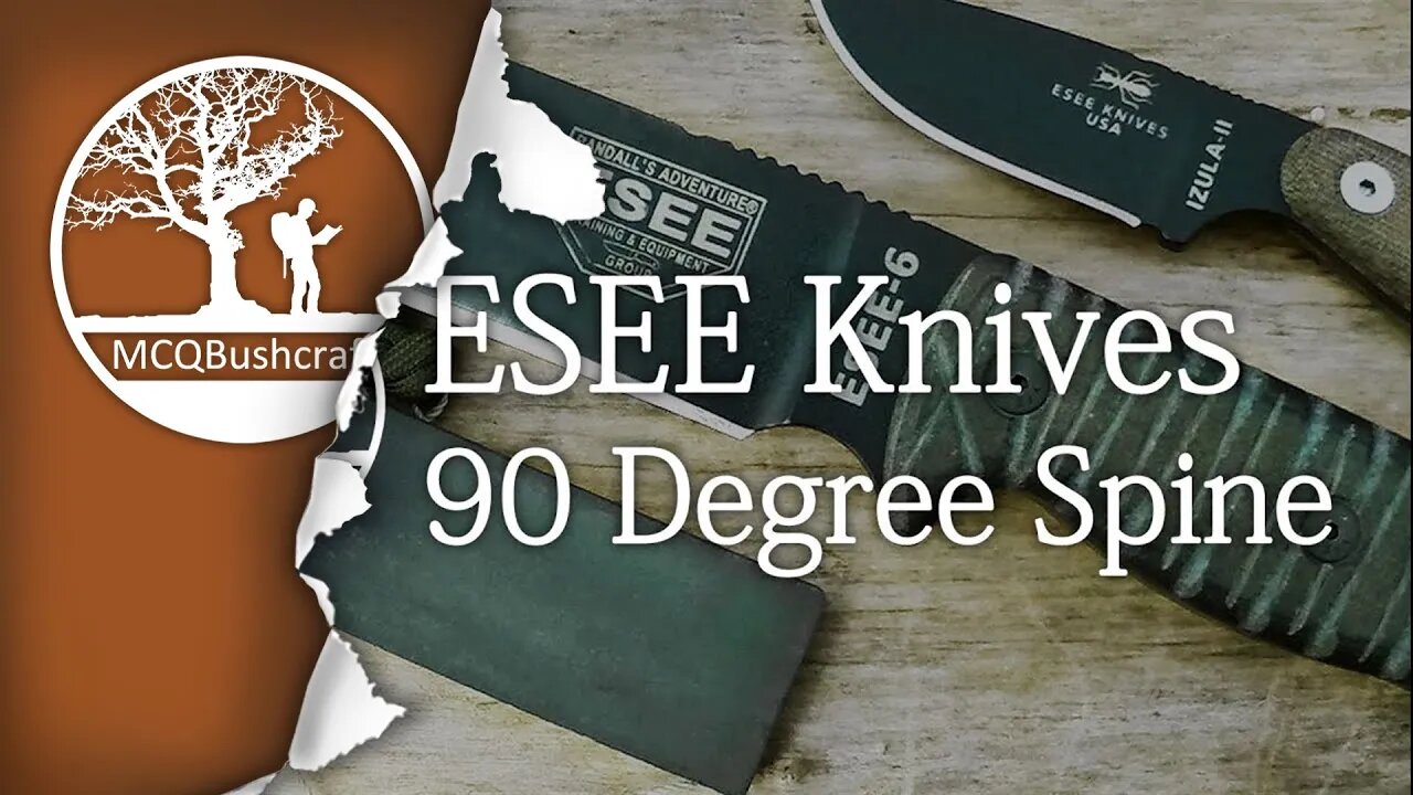 Bushcraft Knives: ESEE 90 Degree Spine