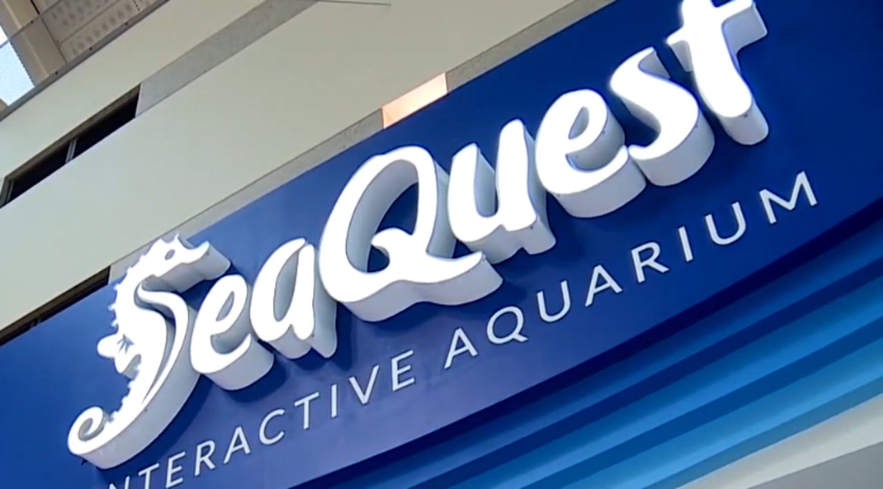 Citation issued as SeaQuest remains under investigation