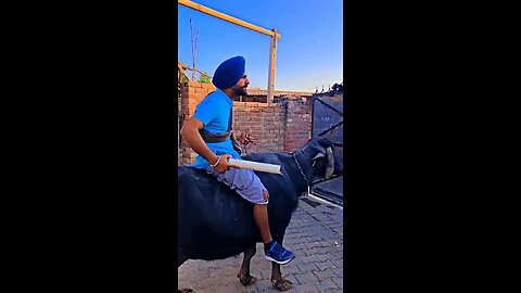 maut bnke aaya🤣🤣🤣plz follow