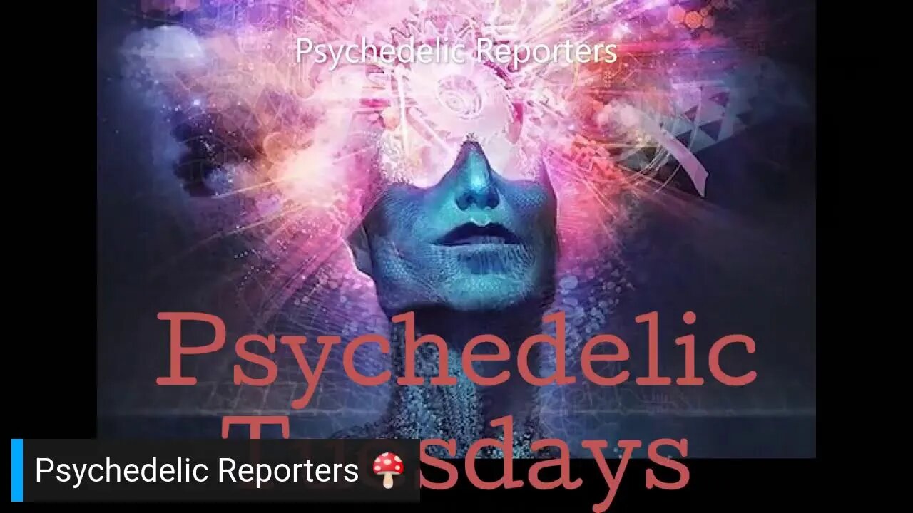 Psychedelic Reporters Ep40