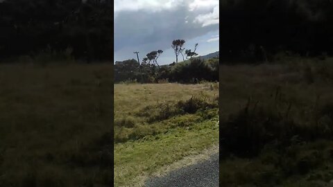 Waiheke Island hilltop