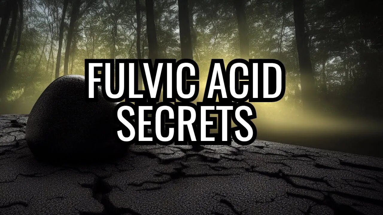 Don't Sleep on Fulvic Acid - Shilajit (ep 1 Master the Temple)