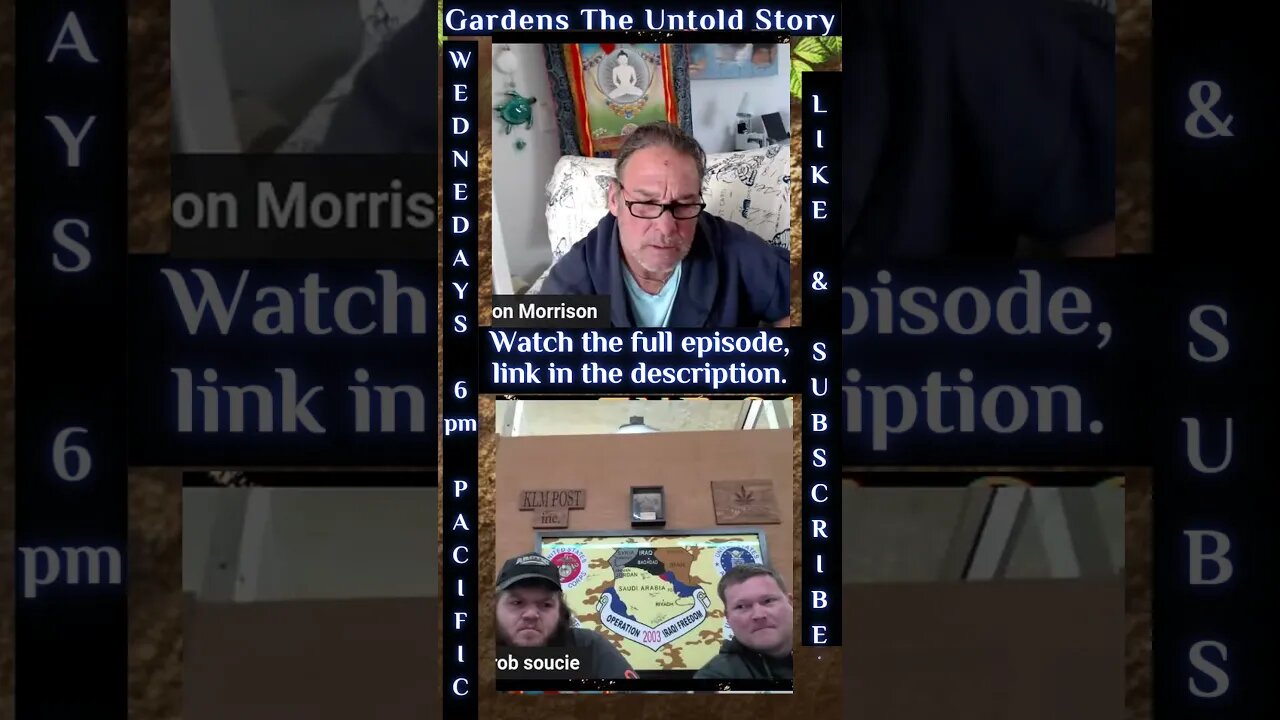 How To Grow A Corn Crop With A Biological Agent