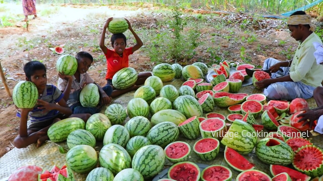 500 KG WATERMELON | Summer Health Drinks | WaterMelon Juice from Farm Fresh Fruits | Village Cooking