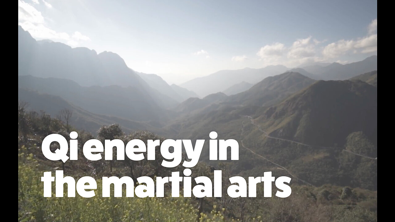 Qi energy in the martial arts