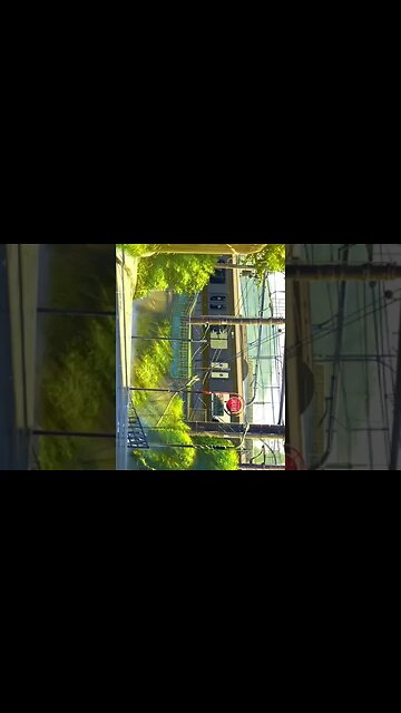 BEST 4K ANIME EDIT TODAY 6