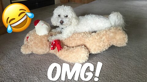 CAN'T BELIEVE HE DID THIS!