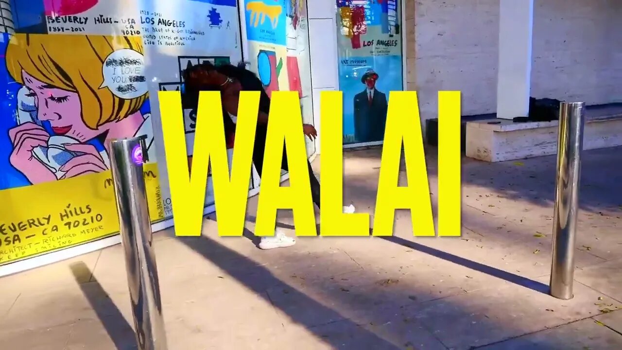 VUDUMANE - WALAI DANCE VIDEO