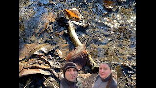 Human bone? And survivorman needed at French and Indian Hill Donald J. Trump State Park