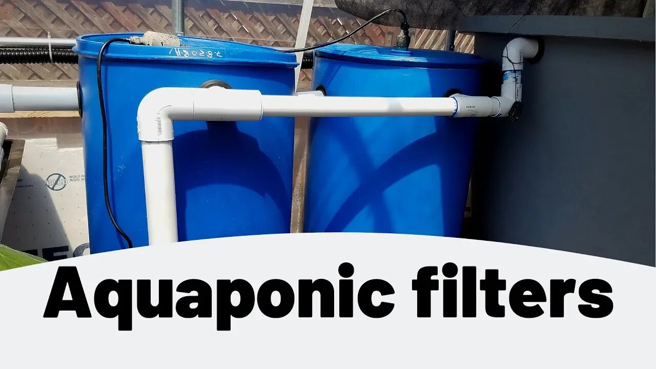 Aquaponic filters- swirl filter and mechanical filter- (hybrid aquaponics)