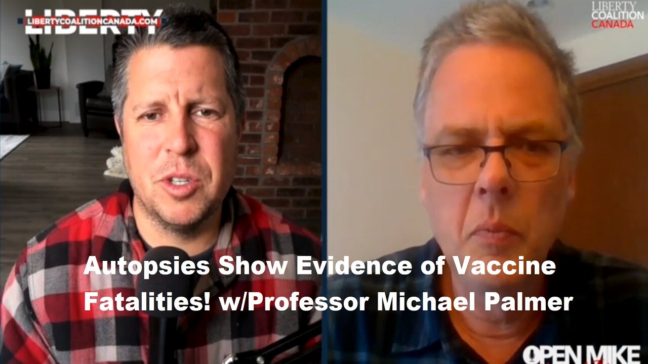 Just An Update On Professor Michael Palmer-See Link Below For His Latest Interview