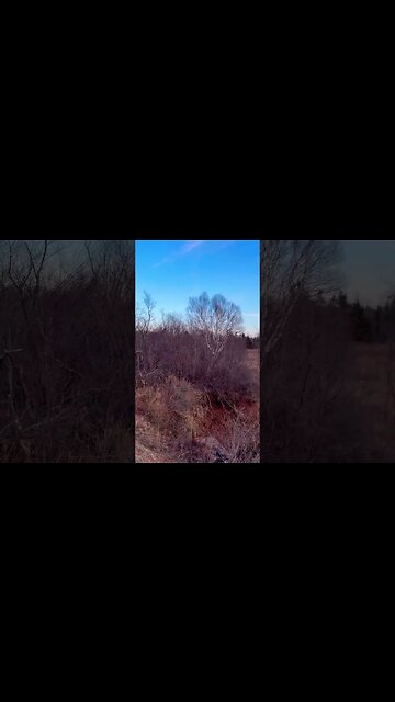 Searching for a Crashed Drone