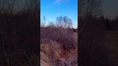 Searching for a Crashed Drone