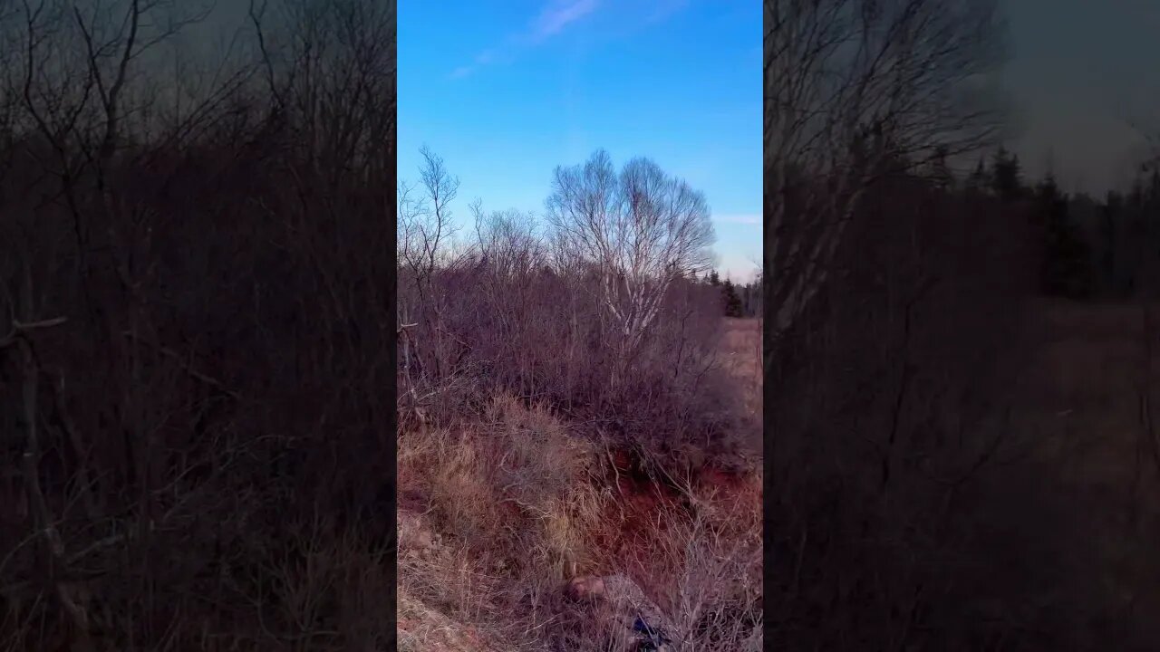 Searching for a Crashed Drone