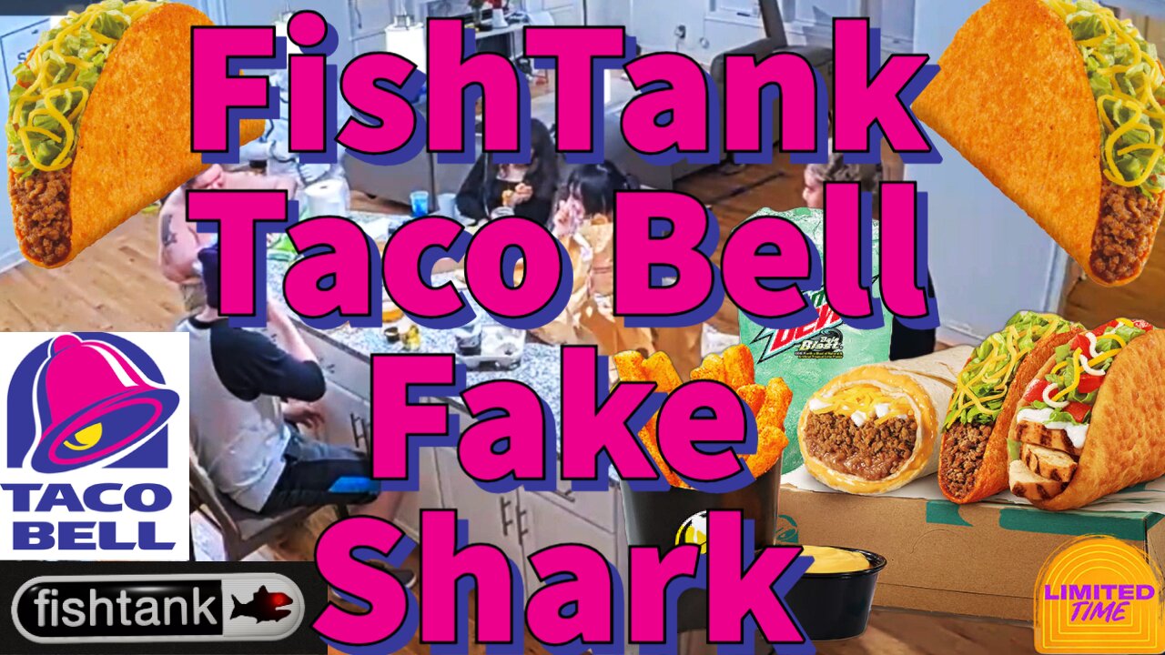 FishTank Taco Bell Fake Shark