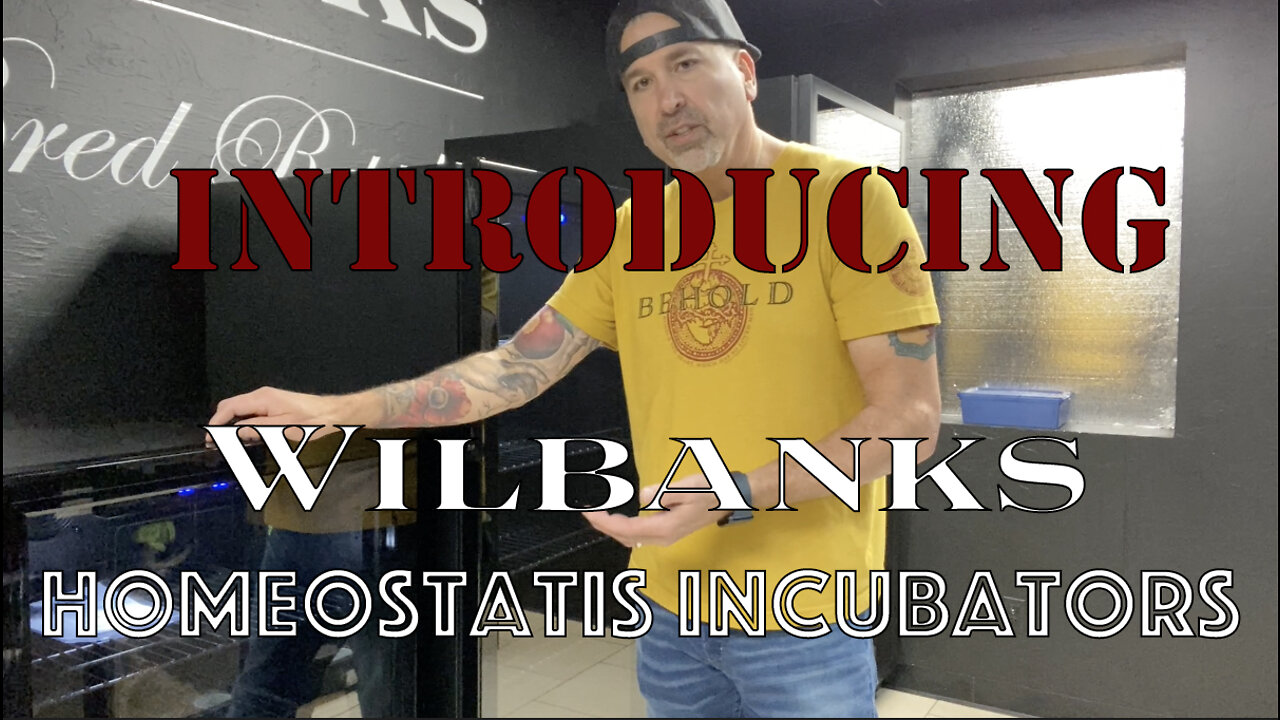 Introducing the Wilbanks Homeostatic Professional Line of Reptile Incubators!