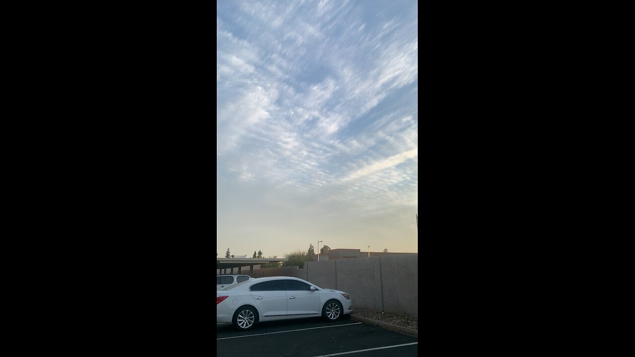 Chemical waves