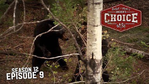 LEFT HANDED BEARS IN SASKATCHEWAN - Archer’s Choice (Full Episode) // S12: Episode 9