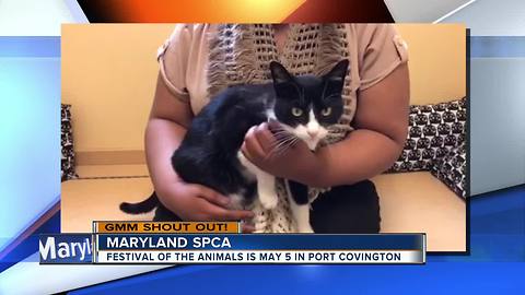 Good morning from Bandit and the Maryland SPCA!