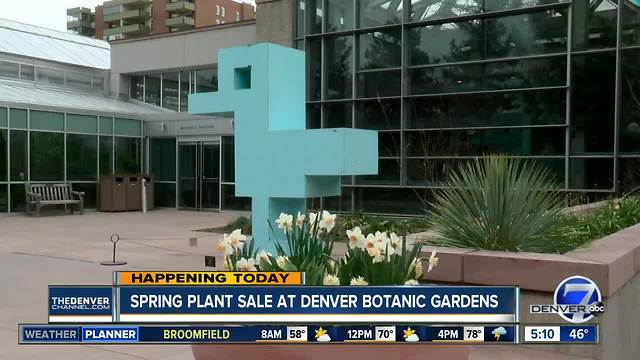 Denver Botanic Gardens hosting its Spring Plant Sale